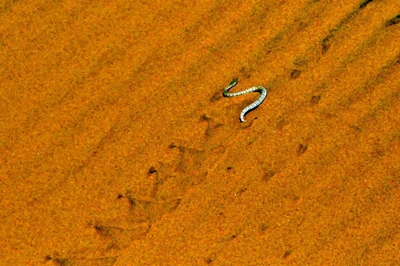 Namibia